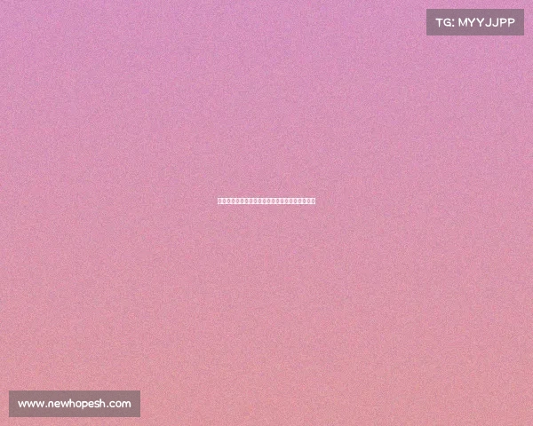 明尼苏达森林狼队新赛季目标与关键球员表现分析 明尼苏达森林狼队新赛季目标与关键球员表现分析