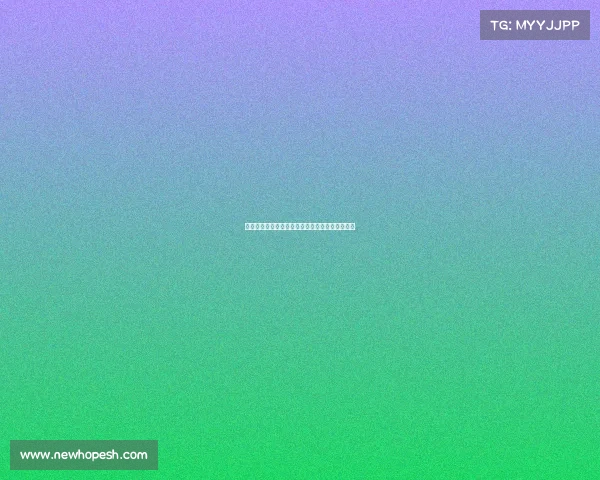 明尼苏达森林狼队新赛季目标与关键球员表现分析