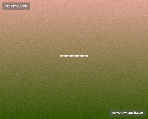 明尼苏达森林狼队新赛季目标与关键球员表现分析