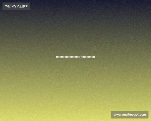 新闻发布会聚焦新政策解读与未来发展战略 展示行业创新与前景规划